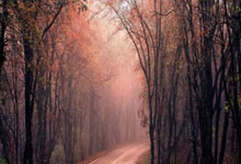 开运电竞:新进展!国际体育公园城三小球馆、游泳馆即将竣工.