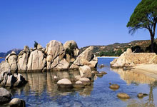 薩默維爾心懷壯誌 立誌助西漢姆重登歐戰殿堂.